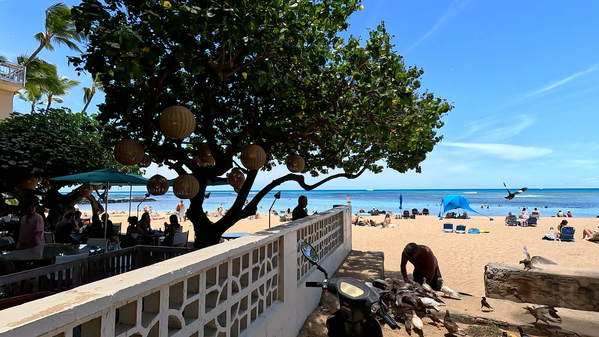 Beachfront Hotels in Waikiki - Kaimana Beach Hotel - Photo 2